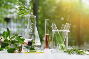 cosmetics ingredients